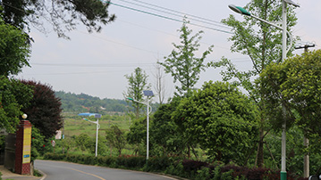 長沙市開福區(qū)沙坪街道漢回村太陽能路燈維修項目